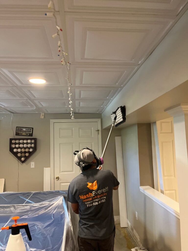 Mold Removal